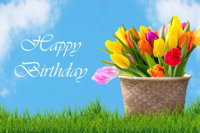 tulips-in-basket-birthday-card